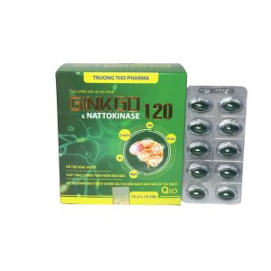 Ginkgo & Nattokina SE 120