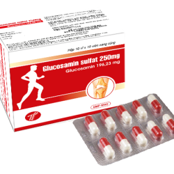 Glucosamin Sulfat 250