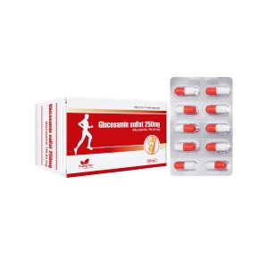 Glucosamin Sulfat 250