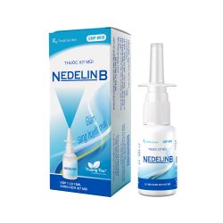 Nedelin B